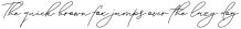 Absolute Beauty Script otf (700)