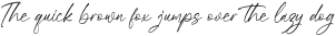 Riyanthy Selafina Italic otf (400)