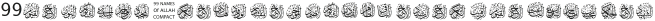 99 Names of ALLAH Compact otf (400)