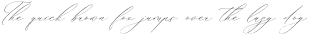 Delistian Valentine Italic otf (400)