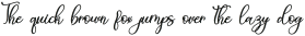 Aneliya Italic Italic otf (400)