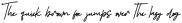 Alvero Signature Italic Italic otf (400)