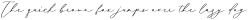 Mathilda Calligraphy otf (400)