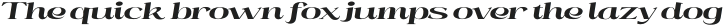 Mintely Extra Bold Italic Con otf (700)