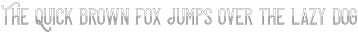 Quick Or Dead Texture otf (400)