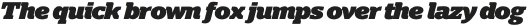 Polyphonic Black Italic otf (900)