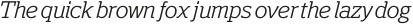 Polyphonic Light Italic otf (300)