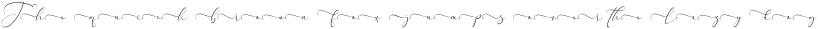 Everything Calligraphy ttf (100)