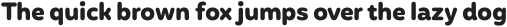 Mohr Rounded Bold otf (700)