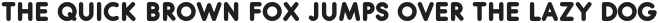 Rounded Light otf (300)