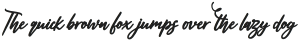 Audentcial bold script Regular otf (700)