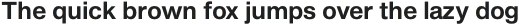Shapiro 65 Light Heavy Text otf (300)