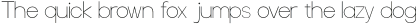 Focus Grotesk Thin otf (100)