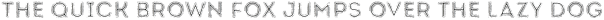 Intro Rust L Fill 2 Line otf (400)