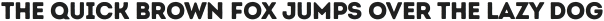 Intro Rust Base otf (400)