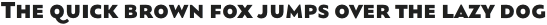 Orqquidea-Sans Black otf (900)