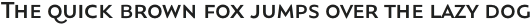Orqquidea-Sans Medium otf (500)