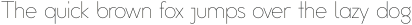 Omega Sans ttf (300)