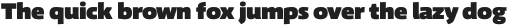 Schuss Sans CG Poster Extrabold otf (700)
