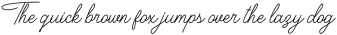 Houstoner Script Regular otf (400)