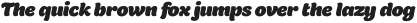 Holden ExtraBold Italic otf (700)