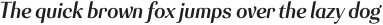 Senlot Norm Bold Italic otf (700)