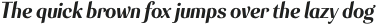 Senlot Cond Black Italic otf (900)