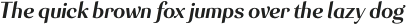 Senlot Ext ExBold Italic otf (700)
