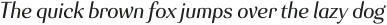 Senlot Ext Regular Italic otf (400)