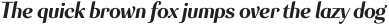 Senlot Norm Black Italic otf (900)