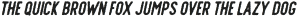 Offlander Rough Italic otf (400)