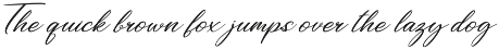 Bigtime Script - Bold Signature preview
