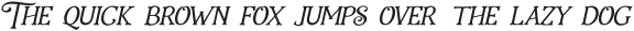 Holiday Present Italic otf (400) Sample