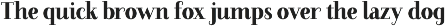Unika Lite signature font preview