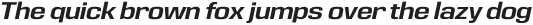 Eurocine Medium Oblique otf (500) Sample