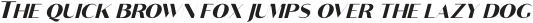 Croco Thin Italic otf (100)