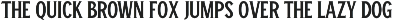 Winston Sans Typeface preview