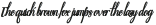 Beauty Atok Script family4 Regular ttf (400)
