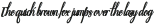 Beauty Atok Script family4 Regular otf (400)