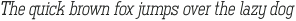 Ferguson Italic otf (400)