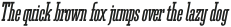 Ferguson Condensed Bold Italic otf (700)