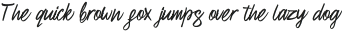Renatto Solid Regular otf (400)