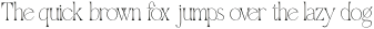 Qellia Light otf (300)