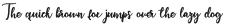 flashlight Script Regular otf (300)