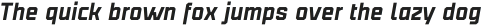 Binaria Light Italic Regular otf (300)