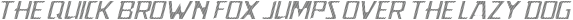PoliceLineDoNotCrossITALIC PoliceLineDoNotCross otf (400)
