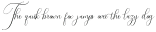 Irlandia Script Regular otf (400)
