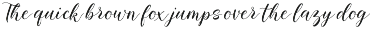 Baelish - Script Font font preview