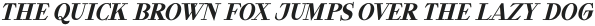 Waysider Regular Oblique otf (400)