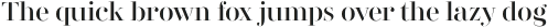 Didonesque Stencil Elegante otf (400)